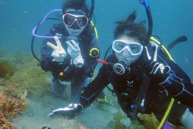 【福井・ファンダイビング】早割プラン！ブランクダイバー大歓迎！アフターダイブは日本海を眺める温泉でほっこり（重器材レンタル無料！）