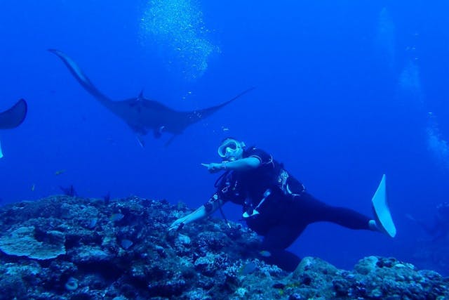 【福井・体験ダイビング】越前ブルーを体感！初心者向け、充実の2ダイブプラン