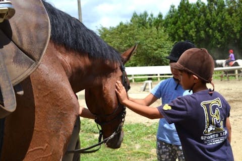 【千葉・体験乗馬】ふらっと気軽に楽しみたい方におすすめ！おさんぽ外乗コース（外乗40分）