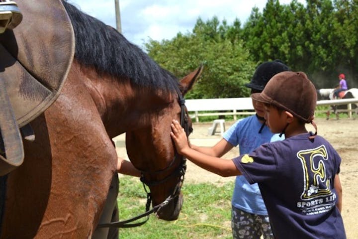 乗馬クラブ 千葉ライディングパーク
