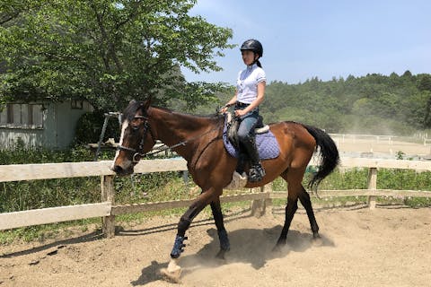 千葉・市原 乗馬（乗馬体験・乗馬クラブ）一覧 ｜料金比較・予約