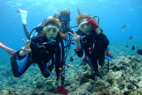 【沖縄・那覇市・体験ダイビング】慶良間諸島の無人島に潜ろう！ボート体験ダイビング（半日）