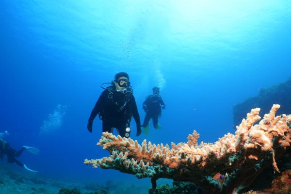 ダイビングサービスKAIZIN｜ネット予約ならアソビュー！