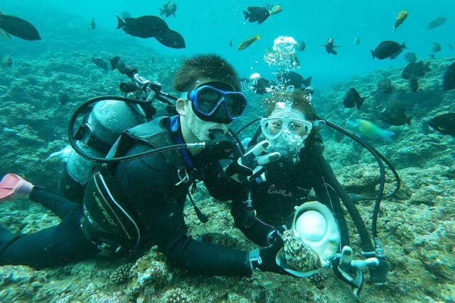 【沖縄・体験ダイビング&マリンウォーク】神秘的な海底世界を大満喫！新感覚を味わおう！初心者大歓迎♪