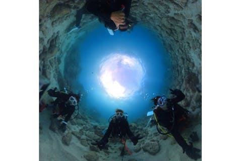 【屋久島・半日・体験ダイビング】初心者OK！抜群の透明度を誇る屋久島の海でダイビング！360度カメラ撮影記念写真プレゼント！