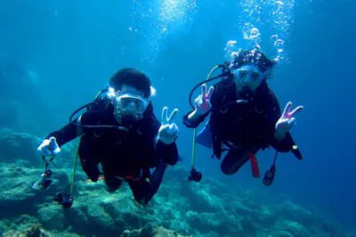 屋久島 体験ダイビング カヤック 屋久島をもっと好きになる 初めてokダイビング リバーカヤックツアー 360度カメラ撮影記念写真プレゼント アソビュー
