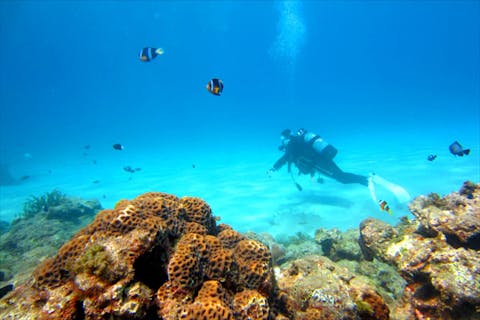 【屋久島・体験ダイビング＆カヤック】屋久島をもっと好きになる！初めてOKダイビング＆リバーカヤックツアー！360度カメラ撮影記念写真プレゼント！