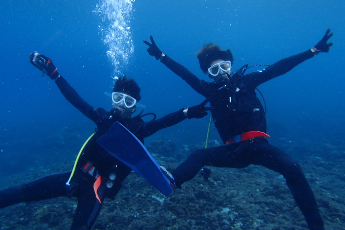 屋久島 体験ダイビング カヤック 屋久島 をもっと好きになる 初めてokダイビング リバーカヤックツアー 360度カメラ撮影記念写真プレゼント アソビュー