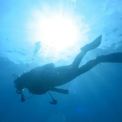 屋久島 体験ダイビング カヤック 屋久島をもっと好きになる 初めてokダイビング リバーカヤックツアー 360度カメラ撮影記念写真プレゼント アソビュー 屋久島 体験ダイビング カヤック 屋久島をもっと好きになる 初めてokダイビング リバーカヤックツアー 360度カメラ撮影記念写真プレゼント アソビュー