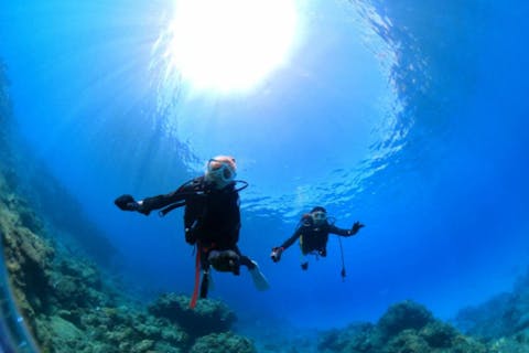 【屋久島・貸切＆半日・体験ダイビング】オーナーガイド確約＆貸切プランで安心！世界自然遺産の島で驚くほど美しい海を楽しもう！360度カメラ撮影記念写真プレゼント！