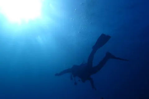 【神奈川発・伊豆・ファンダイブ】伊豆の海を満喫！ファンダイビングプラン・2ビーチ