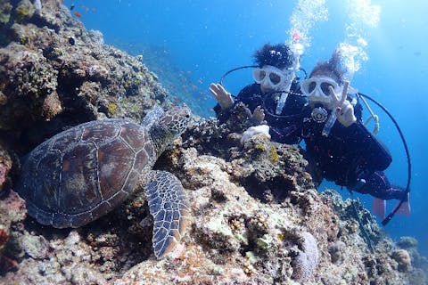 【石垣島/1日】感動の2ダイブ！ウミガメ遭遇率◎！幻の島＆カラフル珊瑚に潜る贅沢体験＋GoProレンタル無料