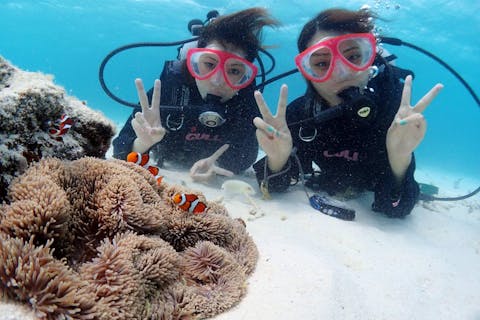 【石垣島/1日】幻の島上陸＆体験ダイビング＆ウミガメシュノーケルセットのプレミアムプラン☆今だけ！GoProレンタル無料☆初心者大歓迎