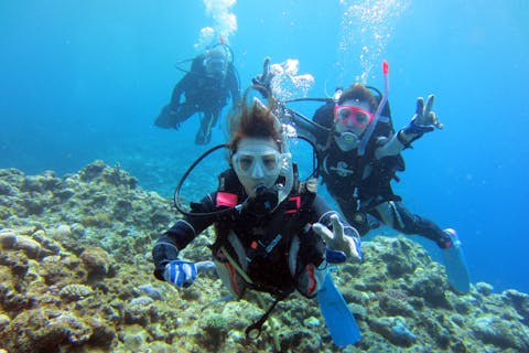 【石垣島・1日・ファンダイビング】安心の少人数制！憧れの無人島＆マンタ＆ウミガメ＆サンゴ礁の海へ行こう！感動の美ら海でファンダイビング！（3DIVE）