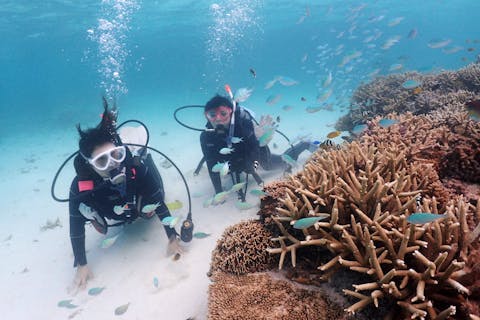 【石垣島・1日・体験ダイビング】安心の少人数制！憧れの無人島＆マンタ＆ウミガメ＆サンゴ礁の海へ行こう！感動の美ら海で体験ダイビング（1ダイブ＋2シュノーケル）（2ダイブ＋1シュノーケリング）