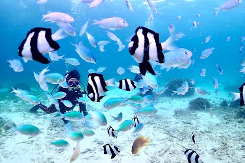 【宮古島・ビーチで潜る体験ダイビング&シュノーケリング・半日ツアー】１組限定の貸切ツアー！GoProレンタル無料！データプレゼント！器材全て込み！