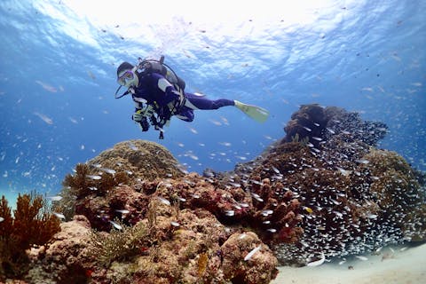 【宮古島・ボートで行く体験ダイビング&シュノーケリング・1日ツアー】１組限定の貸切ツアー！GoProレンタル無料！データプレゼント！器材全て込み！