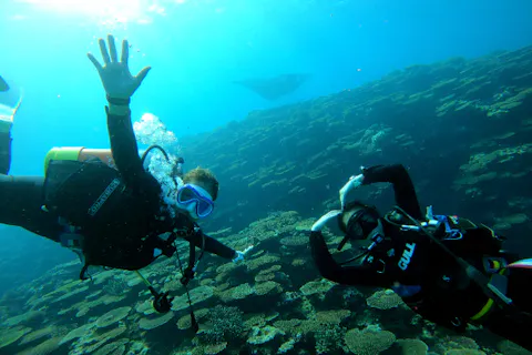 【沖縄・石垣島・ファンダイビング】マンタリクエストOK！石垣島の海をたっぷり満喫！ファンダイビング3ダイブ