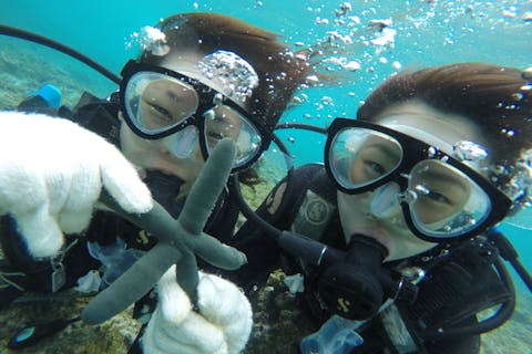 【石垣島・体験ダイビング】ライセンス不要！未経験者向け、安心の丁寧な講習つき！＜ボート／1ダイブ／市街地送迎無料＞