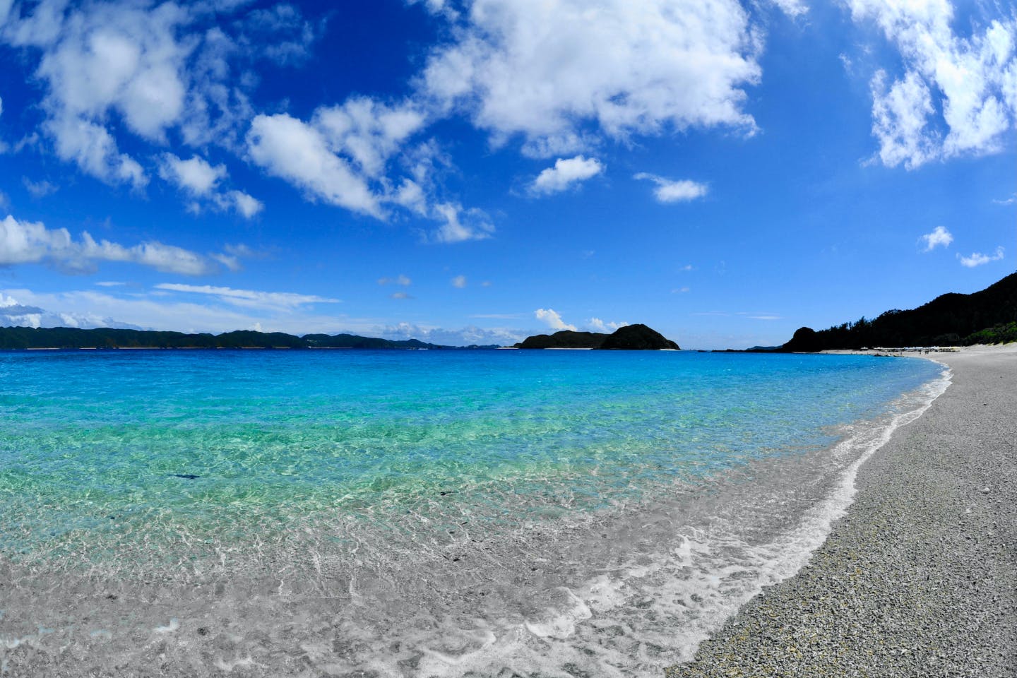 沖縄 体験ダイビング 座間味の海を満喫しよう ボートエントリーで魚たちの都へ 記念撮影あり アソビュー