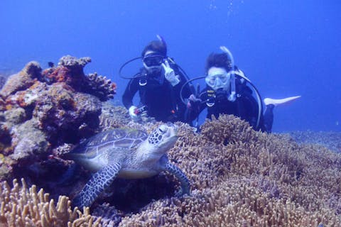 【石垣島・体験ダイビング・マンタ・カメ・１日]無料で釣り・ジャンプ大会・三線ショーなど盛り沢山♪創業20年の実績・1日コースでマンタ・カメ・ニモに会いに行こう★ 団体様・お一人様大歓迎！
