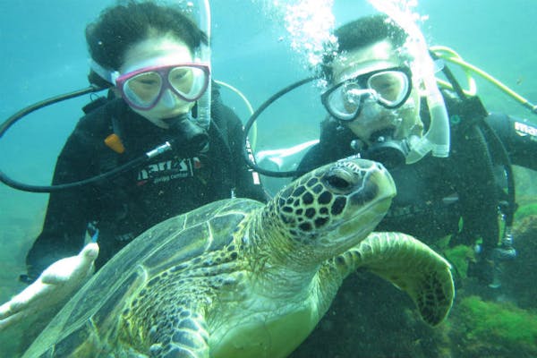 ダイビング セイントカイザー スリクソン ZXi5 アイアン レフトハンド Diamana ZXi