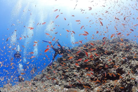【沖縄宮古島・体験ダイビング】ボートエントリーで、絶景ポイントへラクラク移動の体験ダイビング