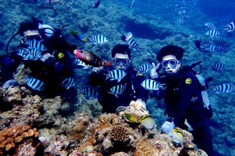 【沖縄・体験ダイビング】人気No1！ボートから行く！神秘の青の洞窟ダイビング