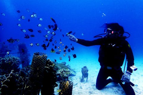 【沖縄・体験ダイビング】青の洞窟・ボートダイビング★送迎付き★