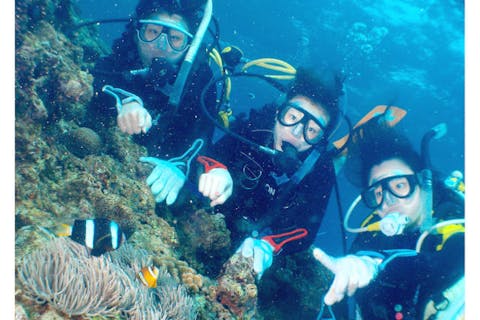 【沖縄・慶良間・ダイビング】お得なコミコミプラン！慶良間でボート体験ダイビング