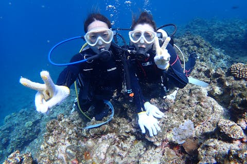 【石垣島・半日・体験ダイビング】安全で楽しいツアーへご案内！サクッと海を楽しめる、体験ダイビング！