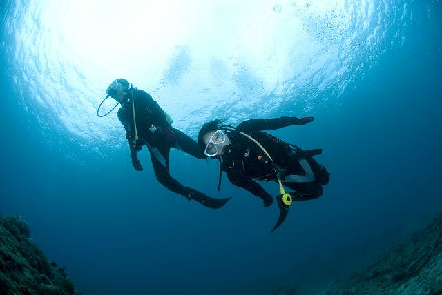 【屋久島・体験ダイビング・2ダイブ】たっぷり6時間！屋久島の海と一体になろう！