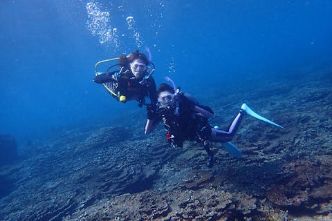 【東京・八丈島・体験ダイビング】【いっしょ割】平日・１日２組限定貸切りプラン！２人でお得に体験ダイビング！