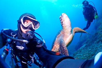 伊豆大島・体験ダイビング】初心者あんしん！ベテランガイドとめぐる海