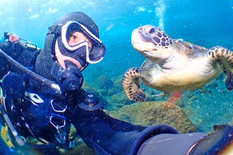 【伊豆大島・体験ダイビング】1名様で体験ダイビングご参加はこちらからお申込みください！
