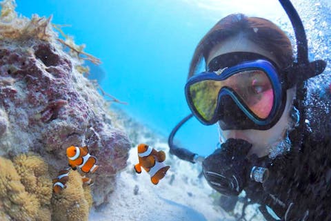 【石垣島・2ボートファンダイビング】大型ダイビング専用ボートで快適！水中写真無料プレゼント・器材レンタル無料！