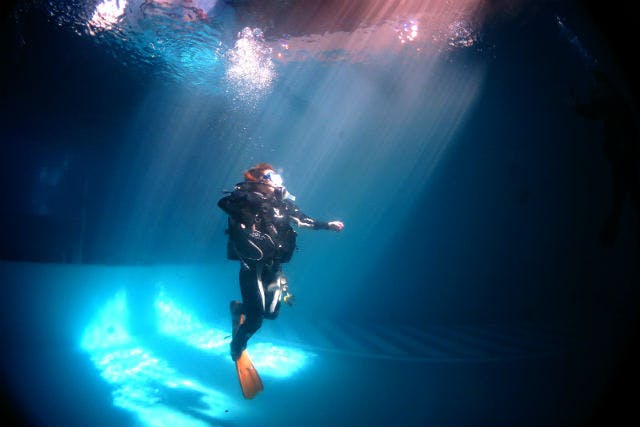 【大阪市・西心斎橋・体験ダイビング】プールでプチ体験！水の中の世界を覗いてみよう