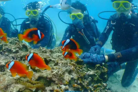【沖縄・恩納村・体験ダイビング】10歳からOK！カラフル珊瑚に魚がいっぱい！クマノミ体験ダイビング