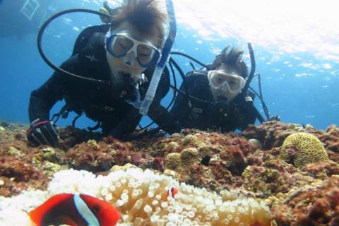 【宮古島・体験ダイビング】ボートで宮古の海を堪能！たっぷり楽しめる2ダイブプラン