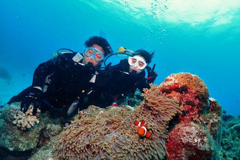 【沖縄・中部・体験ダイビング】ゆったりビーチエントリー！2ダイブでクマノミに出会おう！