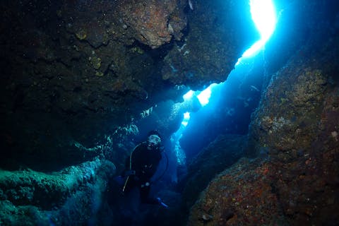 【沖縄・本島中部・ファンダイビング】本島近海ボート2ダイブ！沖縄の魅力を味わおう！（写真無料プレゼントあり）