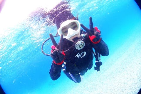 【奄美大島・体験ダイビング】初心者向けの少人数制プランで、安心して海中デビュー！