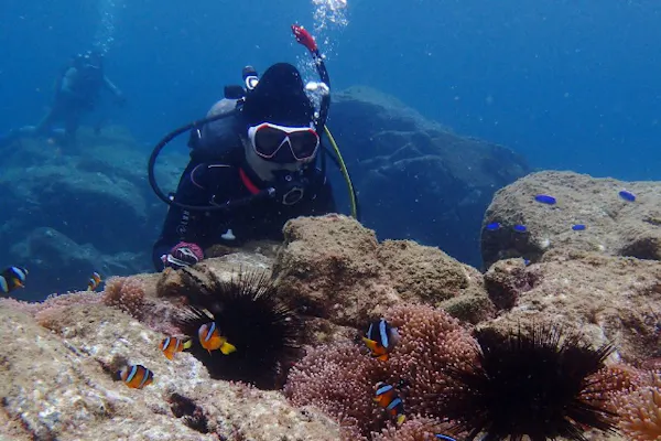 鹿児島・ファンダイビング】坊津・笠沙の海で、手軽に2ビーチ