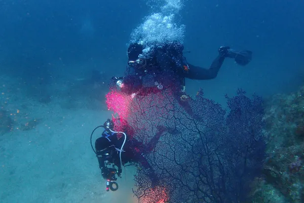 桜島・ファンダイビング】鹿児島のシンボル桜島へフェリーで渡って2
