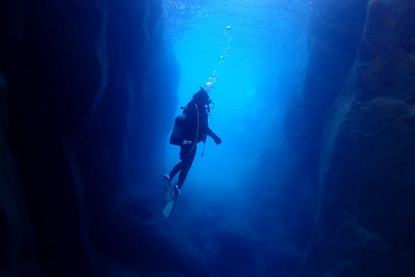 鹿児島・ボートFUNグ】九州NO1の透明度と魚影の濃さを誇る坊津秋目で2