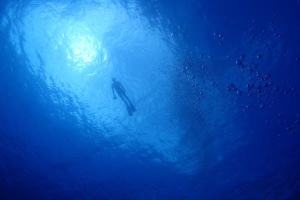 鹿児島・ファンダイビング】2回のダイブで海を満喫！秋目湾内ボートダイビング｜アソビュー！