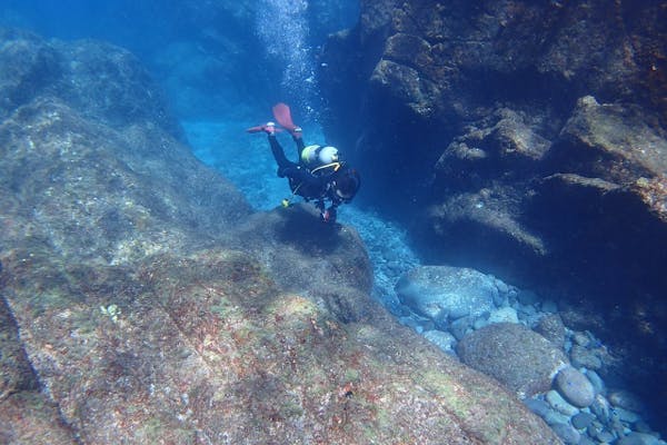 鹿児島・ボートFUNグ】九州NO1の透明度と魚影の濃さを誇る坊津秋目で2