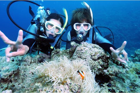 【沖縄・国頭郡・体験ダイビング&パラセーリング】青の洞窟体験ダイビング＆サウンドパラセーリング