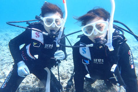 【石垣島・体験ダイビング】女性グループ割あり！初めてでも安心！サンゴと熱帯魚の海で半日ダイビング体験