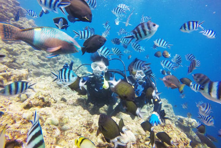 沖縄 北谷 体験ダイビング 初めてでも安心 お魚やサンゴのお花畑で美ら海ダイビング アソビュー 沖縄 北谷 体験ダイビング 初めてでも安心 お魚やサンゴのお花畑で美ら海ダイビング アソビュー